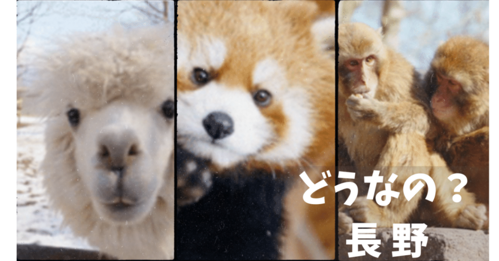 どうなの？長野 　～ 動物と一緒に「未来のNAGANO」を考えよう！ ～